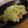 macbee's cooksnap of when they made ★鶏ムネソテー　アボガドソース★.