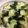 もーみん★'s cooksnap of when they made 塩昆布きゅうり.