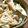 信乃犬's cooksnap of when they made 湯葉と豆腐とキノコのあんかけ丼.