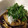 トゥワンダⅡ's cooksnap of when they made なすと焼きエリンギのおろし南蛮和え♪.