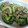 テクマクマユコン's cooksnap of when they made ＊ゴーヤとひき肉の甘辛炒め＊.