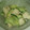 乱々☆'s cooksnap of when they made 鶏ささみと胡瓜のマスタード和え.