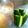 ゆう咲's cooksnap of when they made 簡単おつまみ☆きゅうりスティック♪.