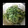 ba3児ママ's cooksnap of when they made とーっても簡単！ゴーヤの塩こんぶ和え.
