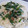 ちばたま's cooksnap of when they made 簡単!おいしい!☆そうめんちゃんぷる.