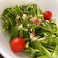 さち☆お's cooksnap of when they made 水菜とツナのサラダ.