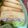 まやすけオンライン's cooksnap of when they made 鮭のテリーヌ.