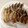♪Aloha's cooksnap of when they made ギョウザといったらこれよ〜♬.