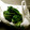 mikimatsu's cooksnap of when they made 超簡単！野菜の保存法♪.