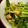 サトモユリア's cooksnap of when they made ほうれん草としめじのソテー.