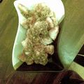 AUS's cooksnap of when they made 鶏の胸肉さっぱりアジアン・ソースがけ.