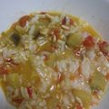 sanama0826's cooksnap of when they made 離乳食中期*ナスとトマトのリゾット.
