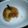 放送部のまっしゅ's cooksnap of when they made まんまるりんごパイ.