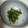 ぽぴぽぴ's cooksnap of when they made 超簡単　でも美味しい　青ねぎごはん！.