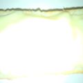 フミココ's cooksnap of when they made 玉葱とツナのマヨネーズチーズトースト.