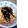 ＭａｒｉｅＤｉａｎｅ's cooksnap of when they made ちくわとエリンギのタラコ炒め.
