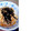 ＭａｒｉｅＤｉａｎｅ's cooksnap of when they made ちくわとエリンギのタラコ炒め.