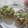 miyuki12's cooksnap of when they made ぶりの荒ほぐし洋風味.