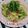 陽翔mam 's cooksnap of when they made 塩麹DEアボガドクリームチーズパスタ♬.
