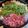 ゆいmaru3's cooksnap of when they made 簡単過ぎる！すき焼きのわりした.