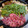 ゆいmaru3's cooksnap of when they made 簡単過ぎる！すき焼きのわりした.