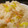 ･firststar's cooksnap of when they made ◆◇◆鮭と菊の混ぜご飯◆◇◆.