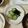 ちゃぐまん's cooksnap of when they made 基本・きゅうりとわかめの酢の物（副菜）.