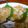 しぃぃくん's cooksnap of when they made ふわっシャクッ旨っ＊大根お焼き＊ハマるよ.