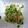 ruhluh's cooksnap of when they made かいわれとささみのわさび和え.