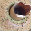 ななこ♥'s cooksnap of when they made モロヘイヤ★シフォンケーキ.