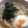 マルルル's cooksnap of when they made 暑いときにさっぱり＆簡単♪冷やし塩うどん.