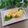 クックHG9V8Y☆'s cooksnap of when they made マヨ卵・卵焼き.