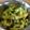 yskwchie's cooksnap of when they made きゅうりのナムル（オイムッチム).