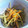 りょうちん＠男子料理's cooksnap of when they made 簡単♪きんぴらごぼう.