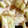 uzurin's cooksnap of when they made 簡単＊セロリのマヨおかか和え.