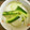 蒼の雫sp's cooksnap of when they made おいしい！冬瓜のお漬物.