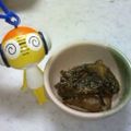 みたらしミカエル's cooksnap of when they made 【だけレシピ】ごぼうだけ♪ゴマ甘酢和え.