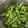 huto☆'s cooksnap of when they made 枝豆　おいしい茹で方.