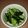 ともhaha's cooksnap of when they made 胡瓜の梅肉和え☆.