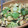 ななさくちゃん's cooksnap of when they made 簡単おかず☆節約！鶏胸肉の中華炒め♪.