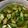 家事苦手主婦's cooksnap of when they made 冷やして美味しい！オクラの煮浸し.