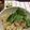 にゃにゃみちゃん's cooksnap of when they made ★松茸ごはん★.