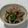 モナン's cooksnap of when they made オクラのおひたし.