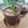 クックHG9V8Y☆'s cooksnap of when they made 黒豆プリン♡煮汁が和の絶品スイーツに.