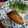 アルカママ's cooksnap of when they made ぶりの煮つけ♪甘辛く煮てふっくら♪.