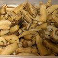 ＠ふじ's cooksnap of when they made イタリアン！きのこのマリネ.