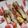 クックM96XDX☆'s cooksnap of when they made ホワイトアスパラの肉巻きソテー.