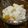 りべ☆'s cooksnap of when they made フルーツ缶で簡単ヨーグルトプリン♪.