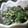 maruru-nn's cooksnap of when they made ほうれん草とヒジキの黒ゴマきな粉サラダ.