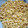 ettsuin's cooksnap of when they made そばの実の発芽方法　.